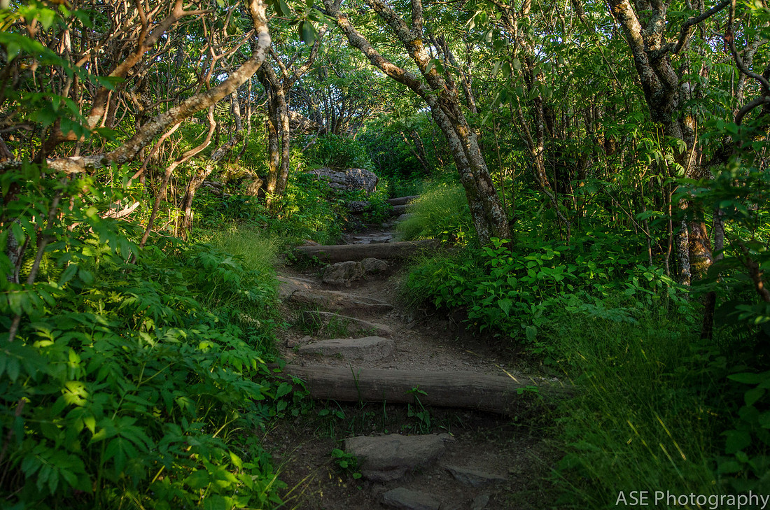 Sunset Hike at Craggy Gardens, North Carolina