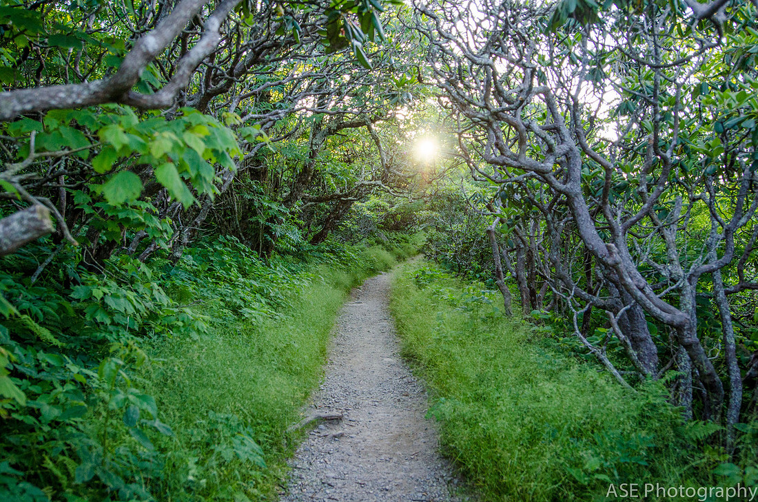 Sunset Hike at Craggy Gardens, North Carolina