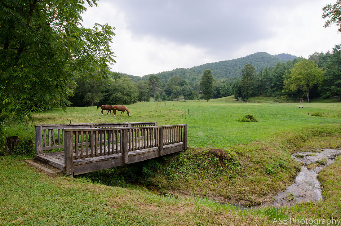 Rustic Wedding at Mountains and Meadows