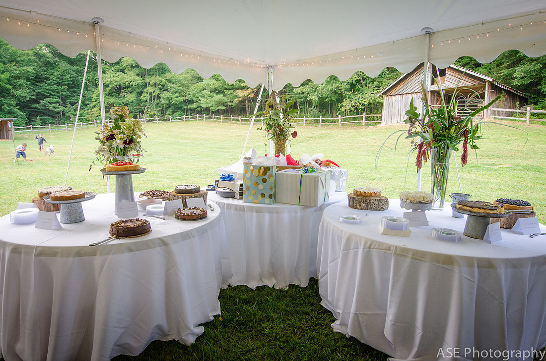 Rustic Wedding at Mountains and Meadows